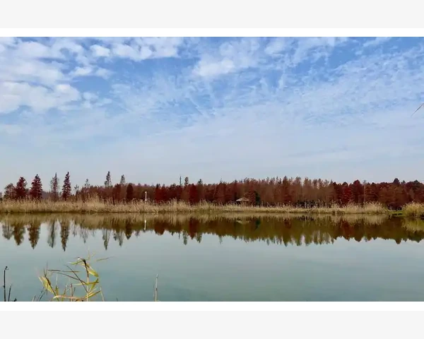 健脾除湿药喝了胃疼怎么办？