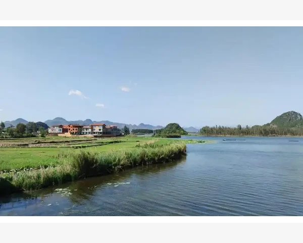 清肺、清血管，食物为你带来健康——探索中医的智慧