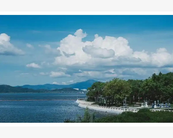 去湿热健脾泡水喝多久？