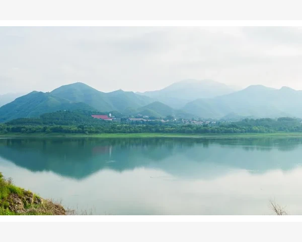 健脾除湿热操让你舒适健康